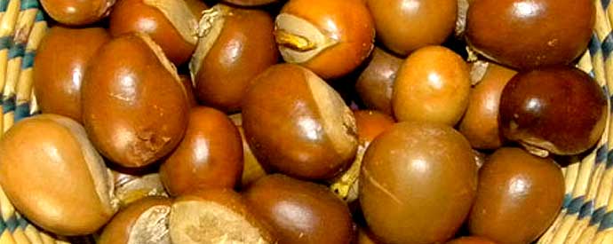 Noix de karité